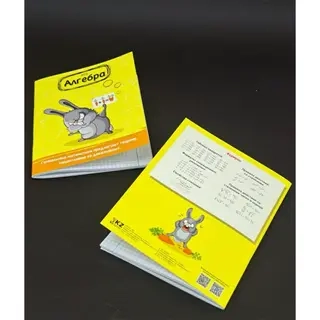 Общая тетрадь Box.kz Алгебра 36л  - фото 2