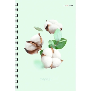 Тетрадь для конспектов А4, 80л. Невесомость 