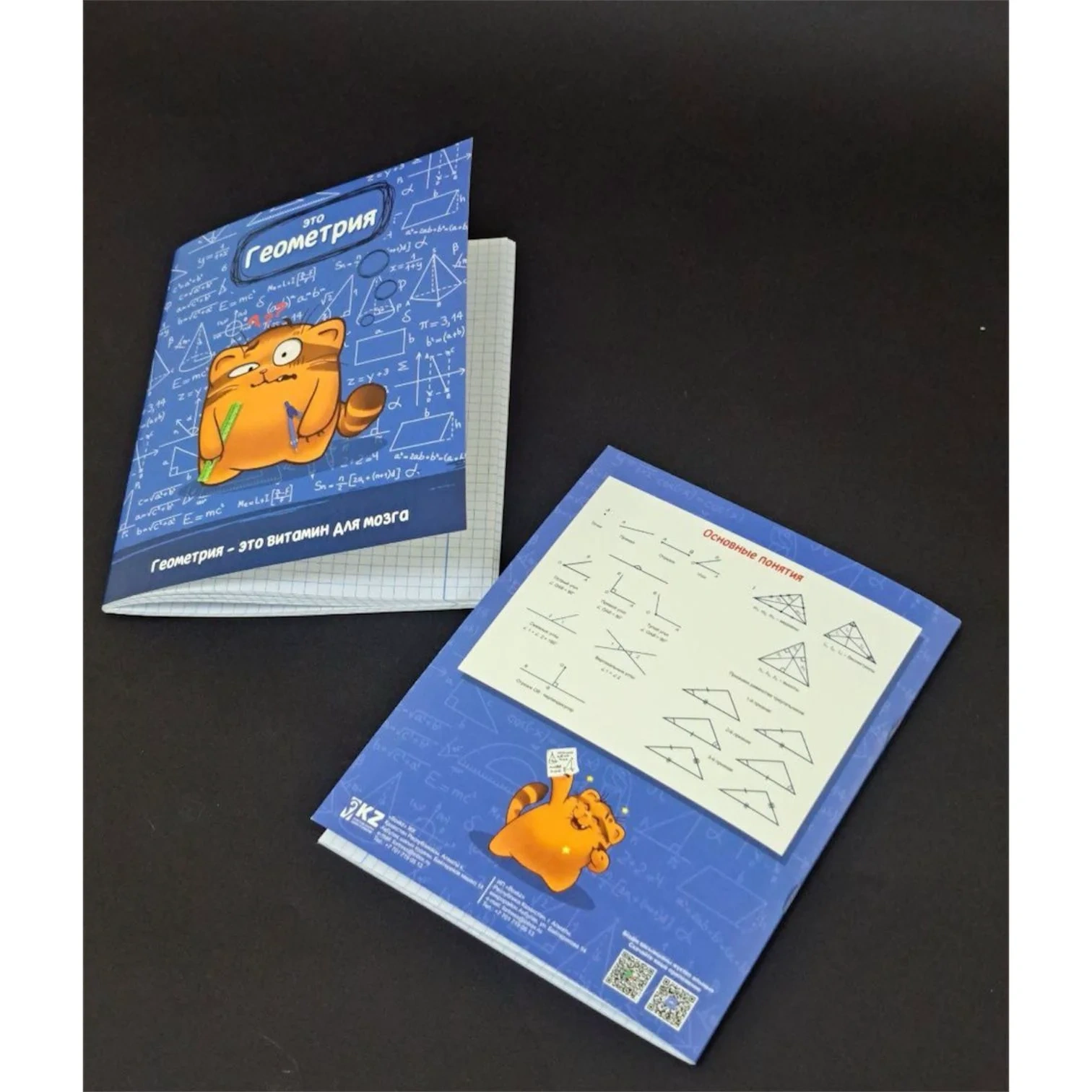 Общая тетрадь Box.kz Геометрия 36л  - фото 2