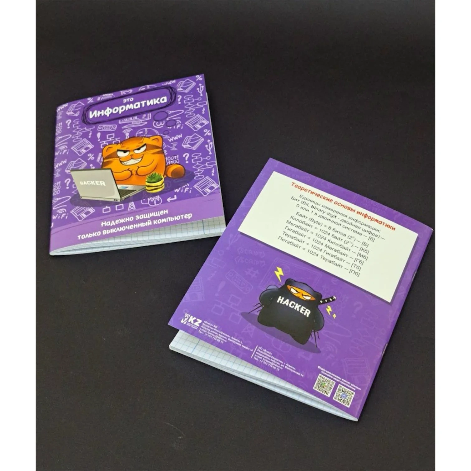 Общая тетрадь Box.kz Информатика 36л  - фото 3