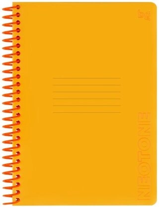 Общая тетрадь BG Neon. Orange, 96 л, А5, клетка, твердая обложка, 1 шт 
