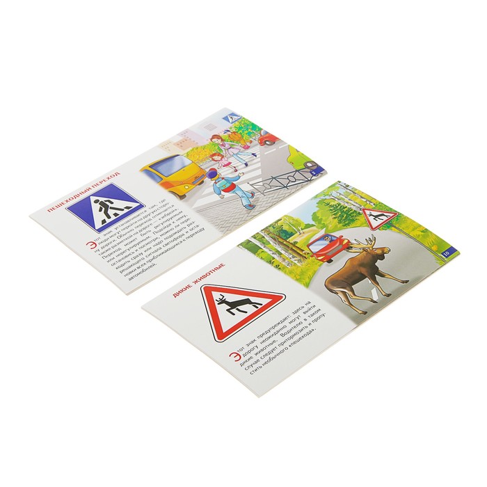 Обучающие карточки «Дорожные знаки» (европодвес) 