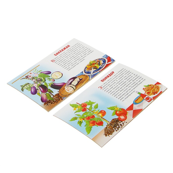 Обучающие карточки «Овощи» (европодвес) 