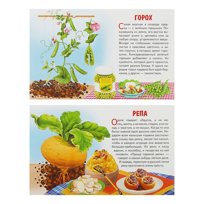 Обучающие карточки «Овощи» (европодвес) 