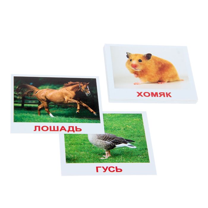 Набор карточек «Мини-20. Домашние животные» 