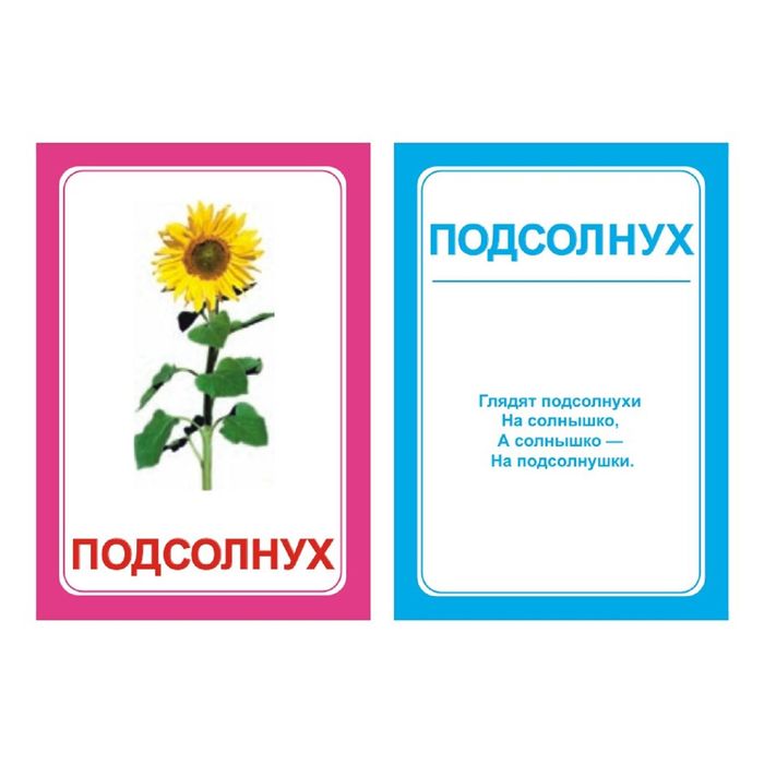 Логопедические карточки «Логопедка «Л» 