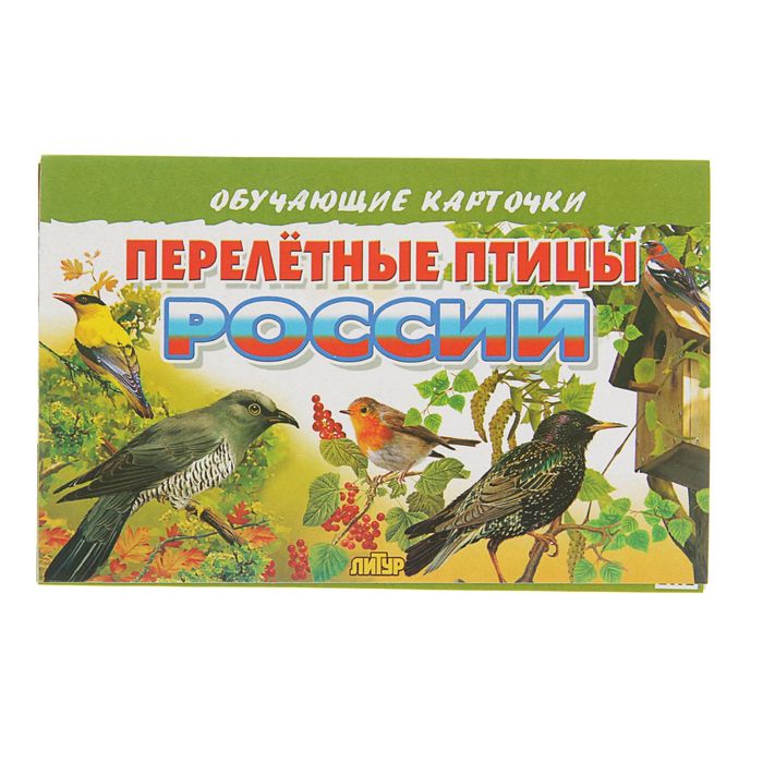 Обучающие карточки «Перелётные птицы России», 16 карточек 