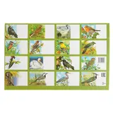 Обучающие карточки «Перелётные птицы России», 16 карточек  - фото 2