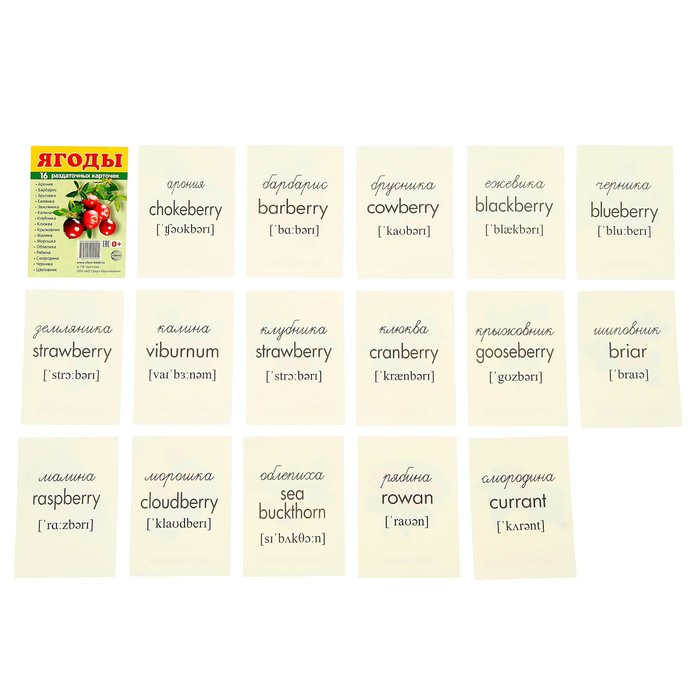 Карточки обучающие "Ягоды", 16 шт. с текстом 6,3х8,7 см 