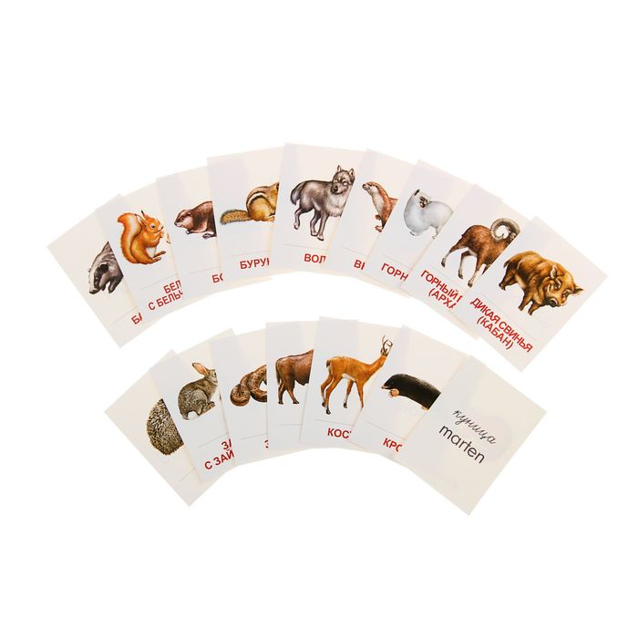Карточки обучающие "Дикие животные-1" 16 шт. 6,3 х 8,7 см. 