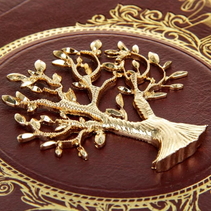 Родословная книга "Мой род - мое древо жизни" 