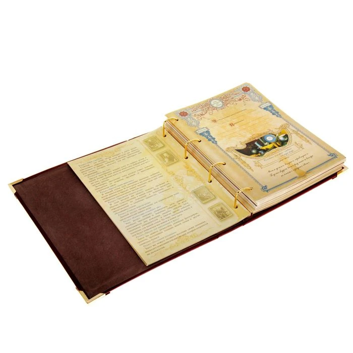 Родословная книга "Мой род - мое древо жизни"  - фото 4