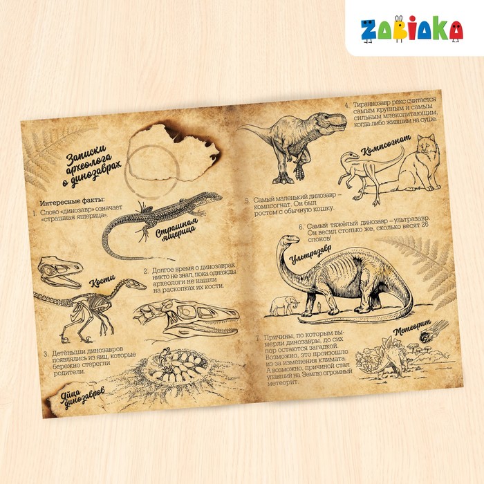 Обучающий набор динозавров с плакатом «Эра динозавров» 