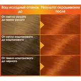 Краска для волос Garnier Color Naturals, тон 7.40, пленительный медный  - фото 2