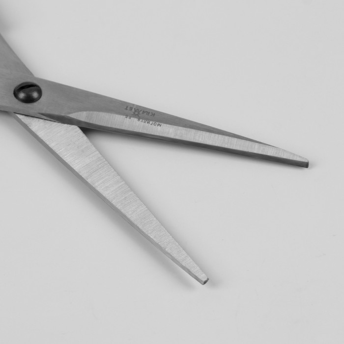 Ножницы парикмахерские, лезвие 5,5 см, цвет чёрный, Н-040 