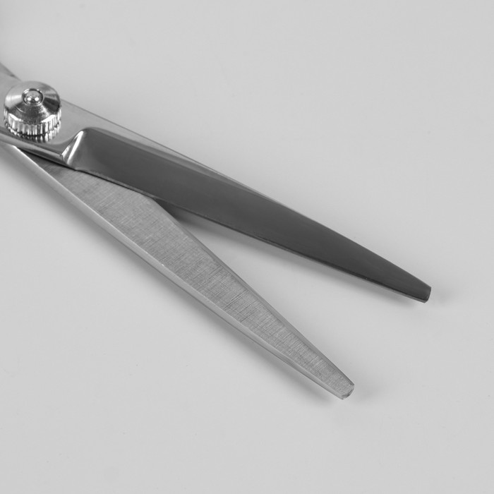Ножницы парикмахерские с упором, лезвие 5,5 см, цвет серебряный 