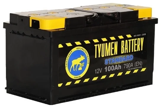 Аккумулятор Тюмень Standart 100Ah (+/-) 