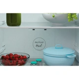 Холодильник Candy CCRN 6200 S - фото 8