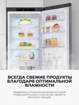 Холодильник LG GC-B509MEWM - фото 4
