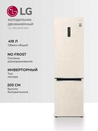 Холодильник LG GC-B509MEWM - фото 2
