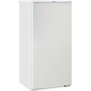 Холодильники Бирюса Бирюса 10