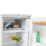 Холодильники Бирюса Бирюса 10 - фото 8