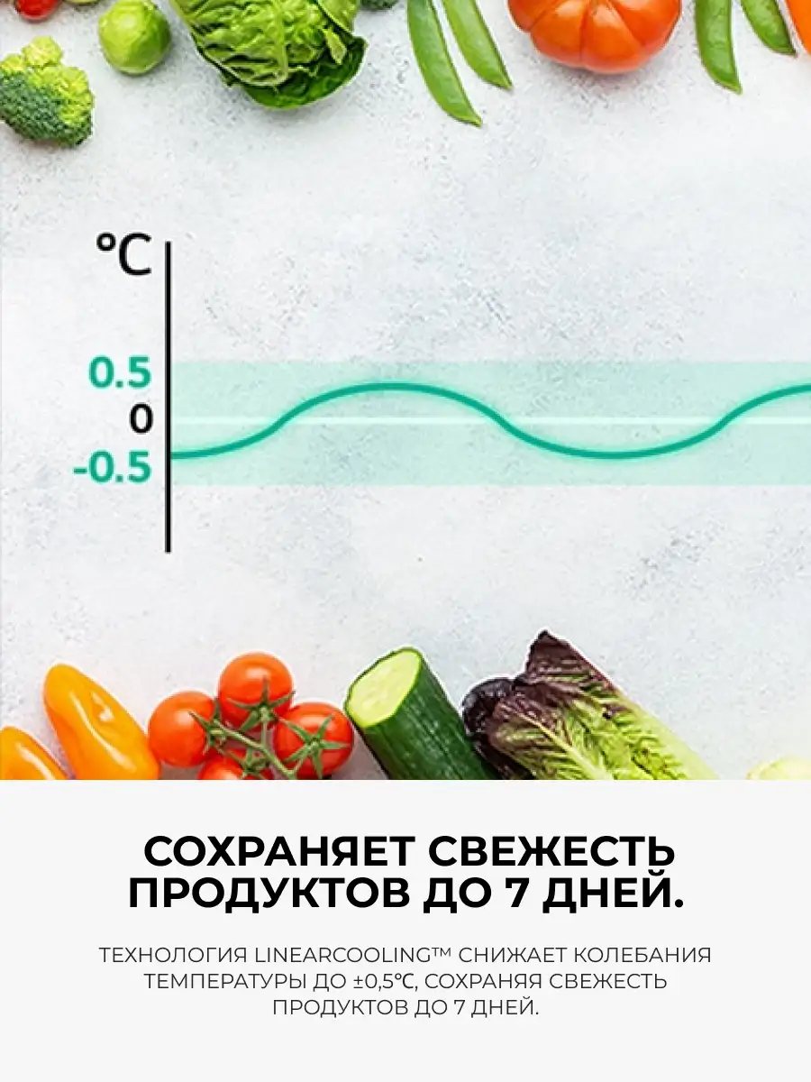 Холодильник LG GC-B459FNPW - фото 5