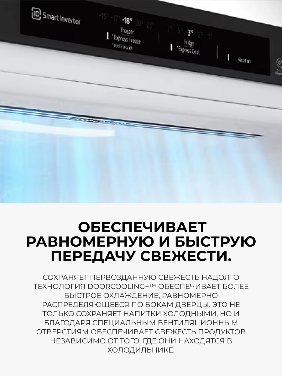 Холодильник LG GC-B459FNPW - фото 4