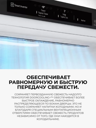 Холодильник LG GC-B459FNPW - фото 4
