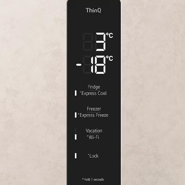 Холодильник LG GC-B509FEPW - фото 15