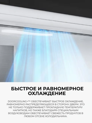 Холодильник LG GC-B509FTZW