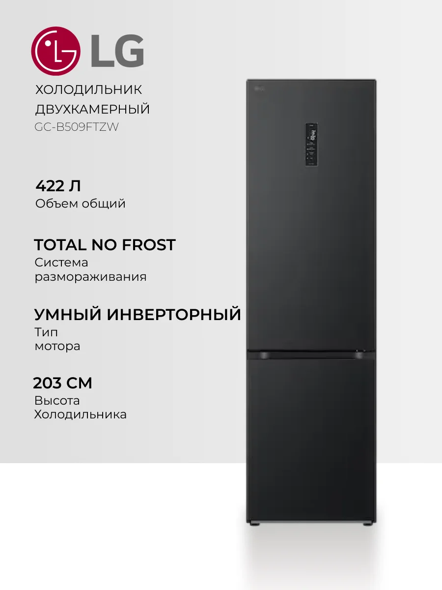 Холодильник LG GC-B509FTZW - фото 2
