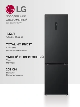 Холодильник LG GC-B509FTZW