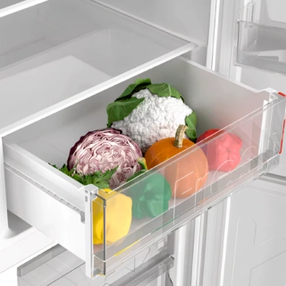 Холодильник Candy CCRN6200SD - фото 4