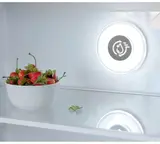 Холодильник Бирюса CD 466 BG черный  - фото 4