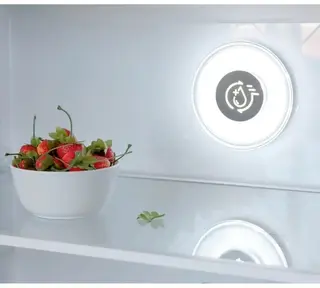 Холодильник Бирюса CD 466 BG черный  - фото 4