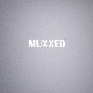 Холодильник Muxxed M HD-255G - фото 6