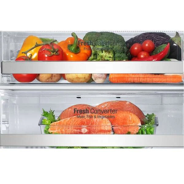 Холодильник LG GA-B499TGBM - фото 6