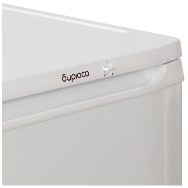 Холодильник Бирюса 110 - фото 6