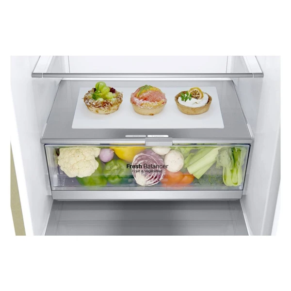 Холодильник LG GA-B509SEDZ - фото 11