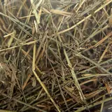 Сено луговое прессованное с фруктами "Мышильд", 500 г  - фото 2