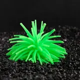 Декоративный анемон для аквариума, микс цветов, 8 х 5 см  - фото 3