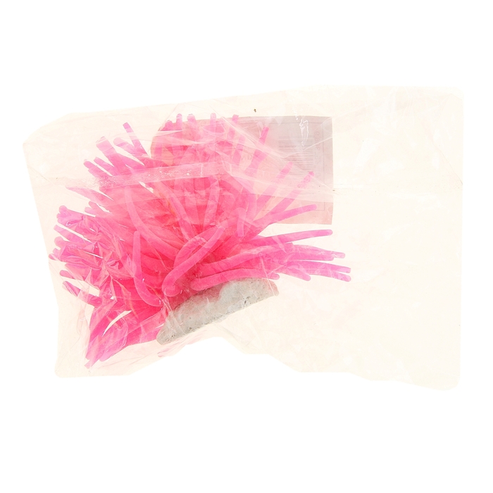 Декоративный анемон для аквариума, микс цветов, 8 х 5 см 