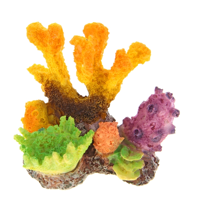 Декор для аквариума "Коралловый островок", 10 х 8 х 9,5 см 