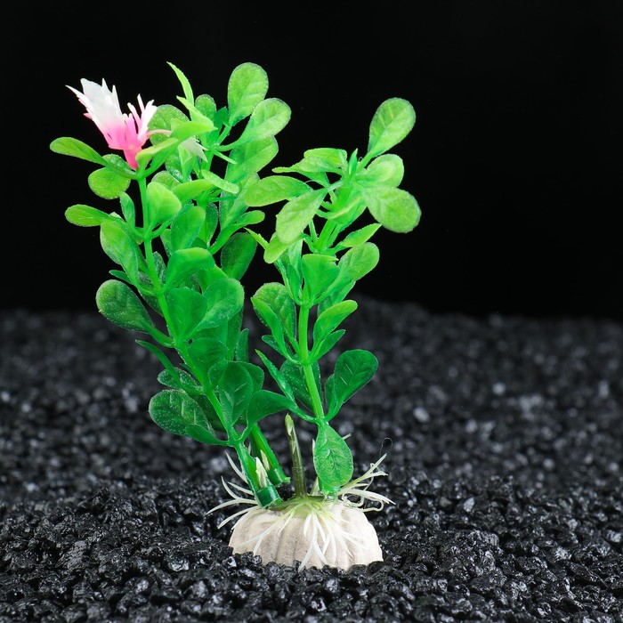 Растение искусственное аквариумное Бакопа мелколистная, 10 см 