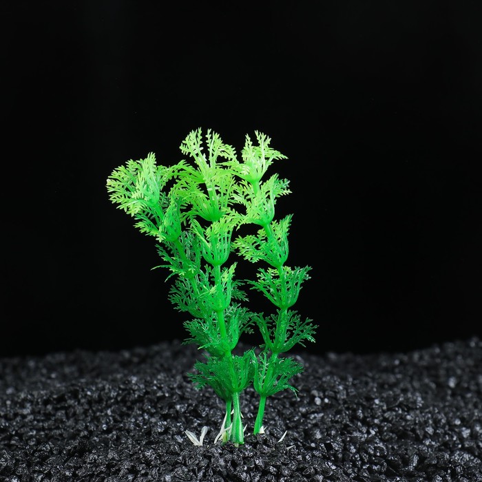 Растение искусственное аквариумное Амбулия, 10 см, зеленая 