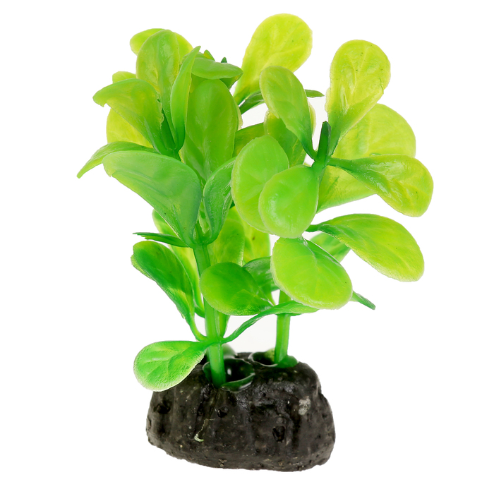 Растение искусственное аквариумное малое, 6 см 