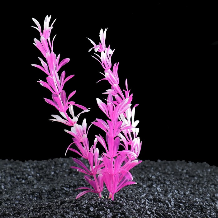 Растение для аквариума, до 25 см, пластик 