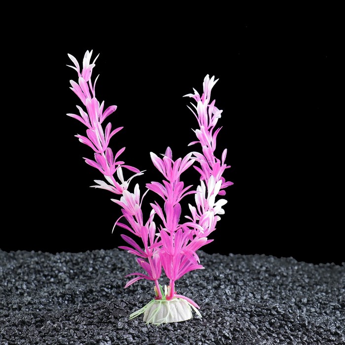 Растение для аквариума, до 25 см, пластик 