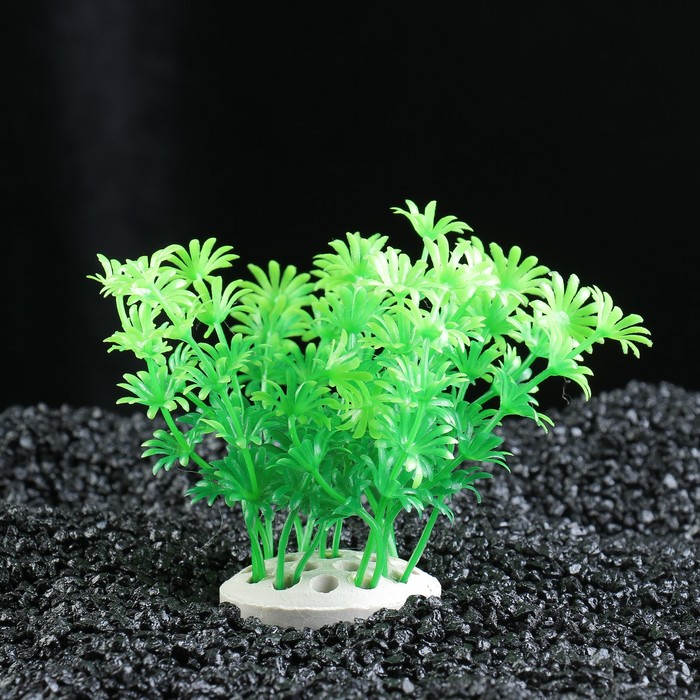 Растение кустовое для аквариума, до 10 см, пластик 